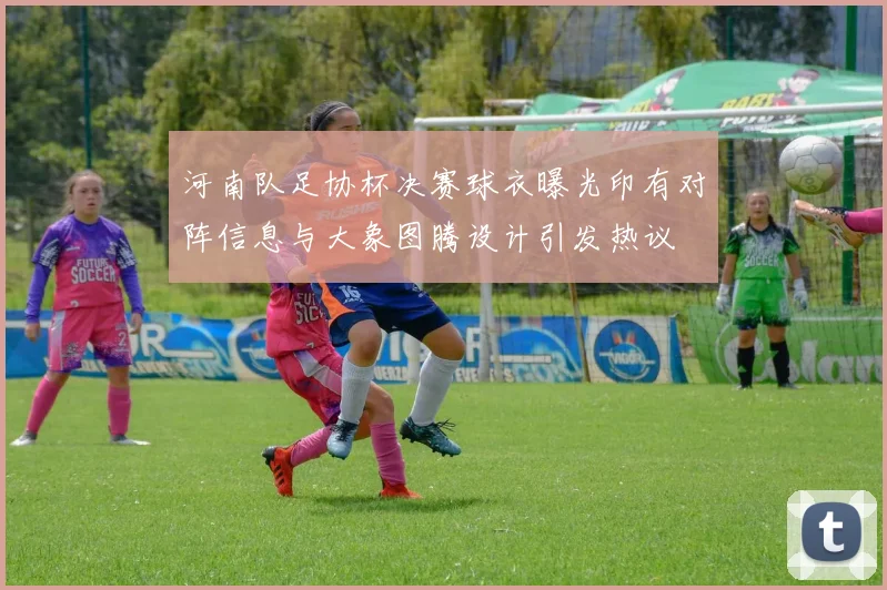 河南队足协杯决赛球衣曝光印有对阵信息与大象图腾设计引发热议
