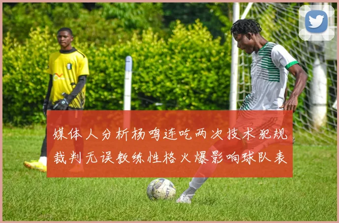 媒体人分析杨鸣连吃两次技术犯规裁判无误教练性格火爆影响球队表现