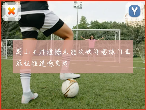 蔚山主帅遗憾未能攻破海港球门亚冠征程遗憾告终