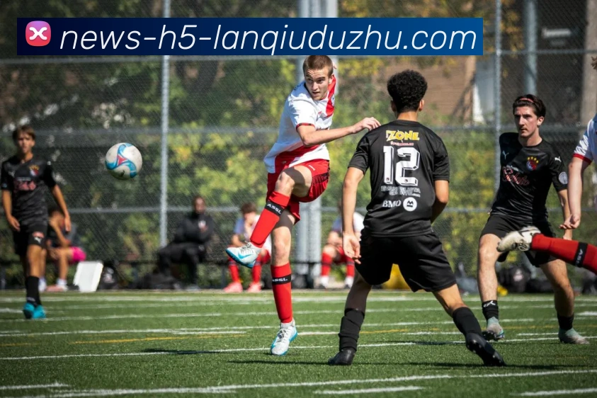 篮球赌注APP 封面图